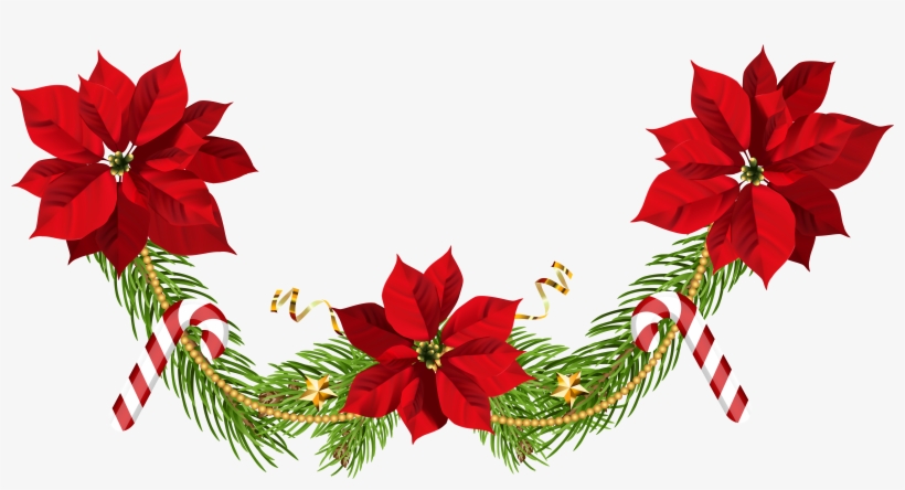Image Stock Christmas Poinsettias Clip Art Png Image - Flower Garland Hd Png, transparent png download