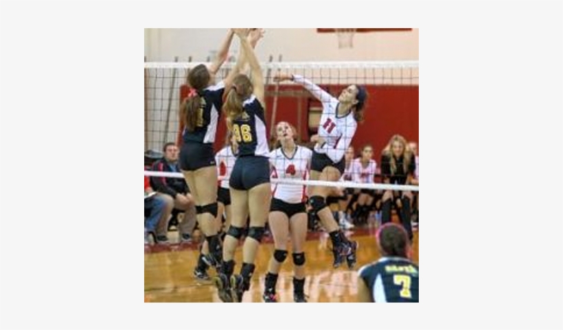 Volleyball Team Falls In Playoffs - Volleyball, transparent png download