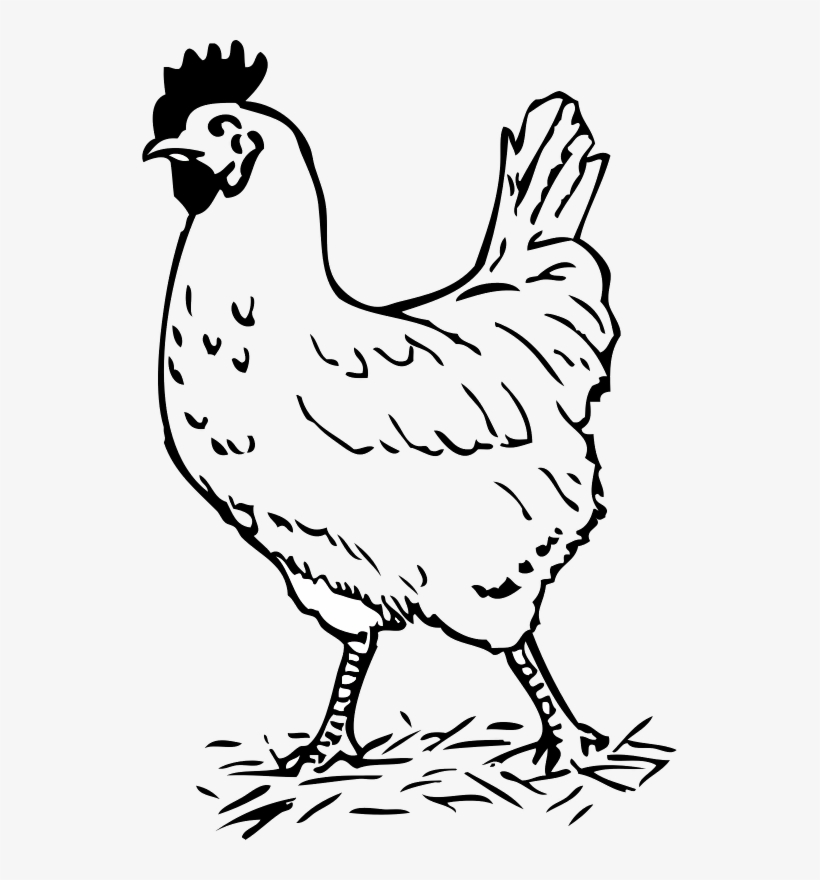 Cock - Black And White Chicken Clip Art, transparent png download