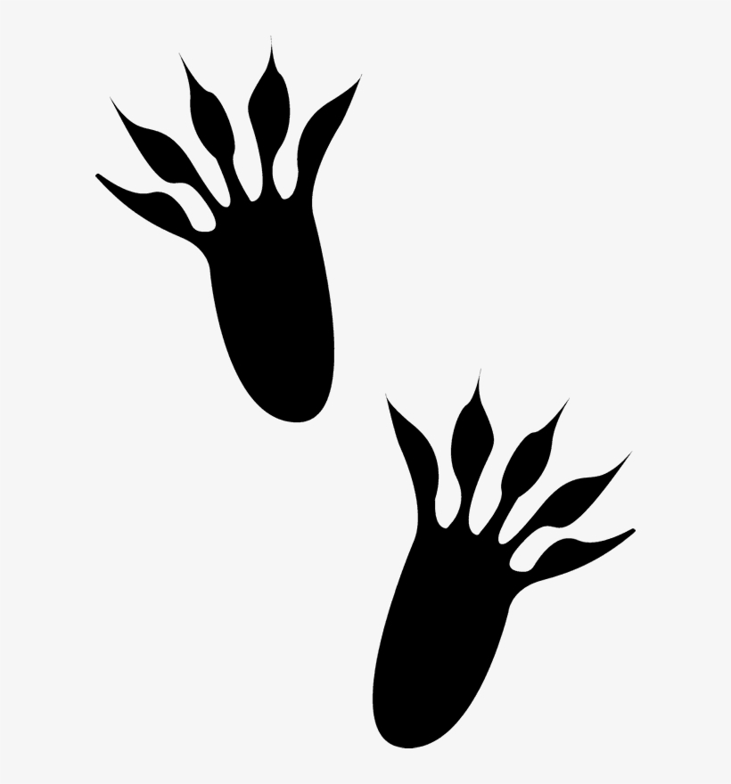 Tracks Rubber Stamp Animal Stamps Stamptopia - Squirrel Tracks, transparent png download