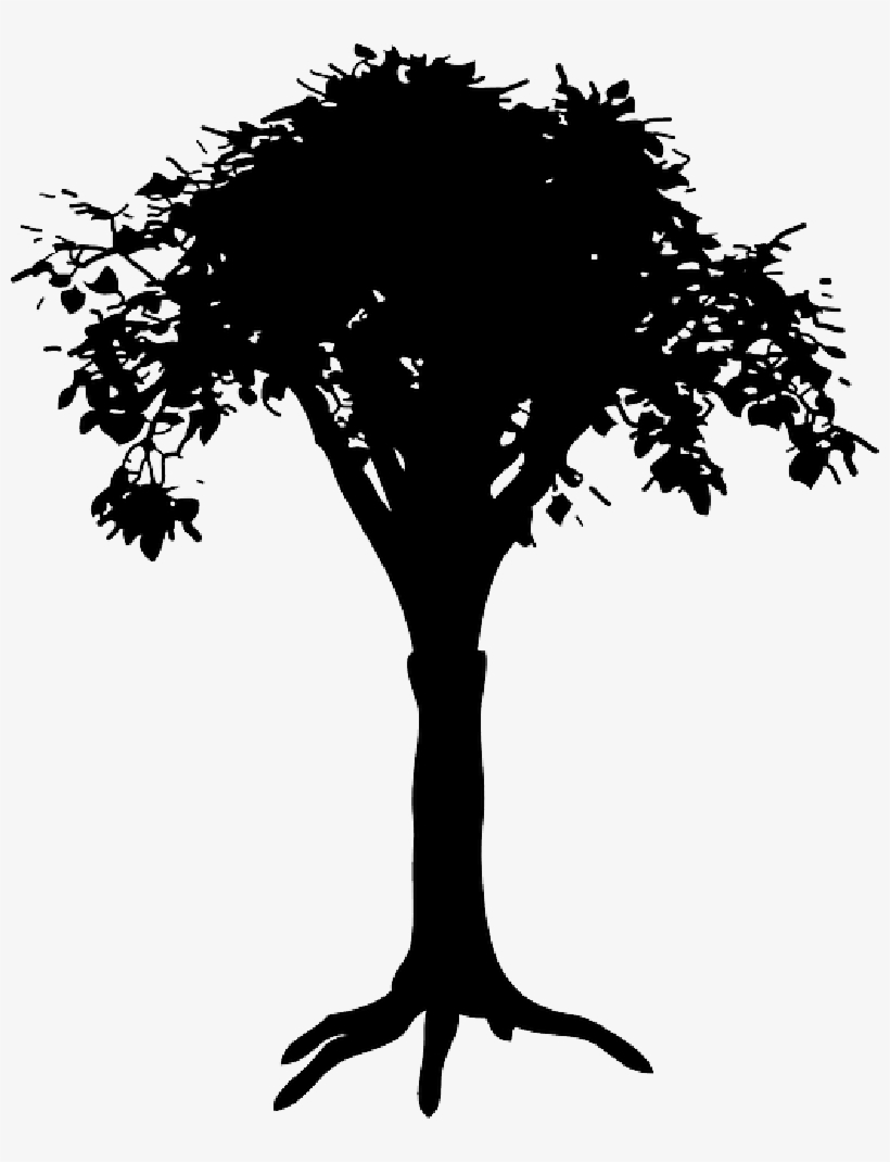 Mb Image/png - Root Tree Silhouette Png, transparent png download