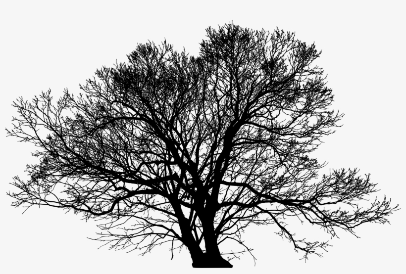 Leafless Winter Tree Silhouette Icons Png - Tree Silhouette Winter, transparent png download