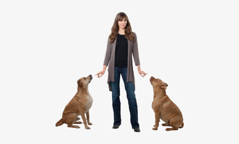 Victoria Stilwell Dogs - Victoria Stilwell Dog Trainer, transparent png download