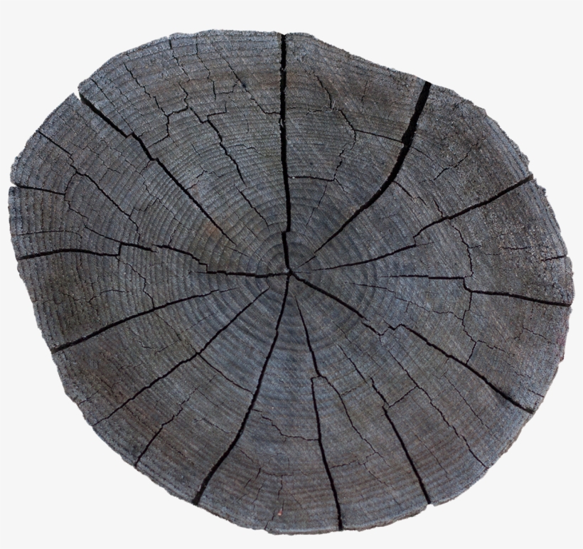 Wood End 31 - Tree Stump, transparent png download