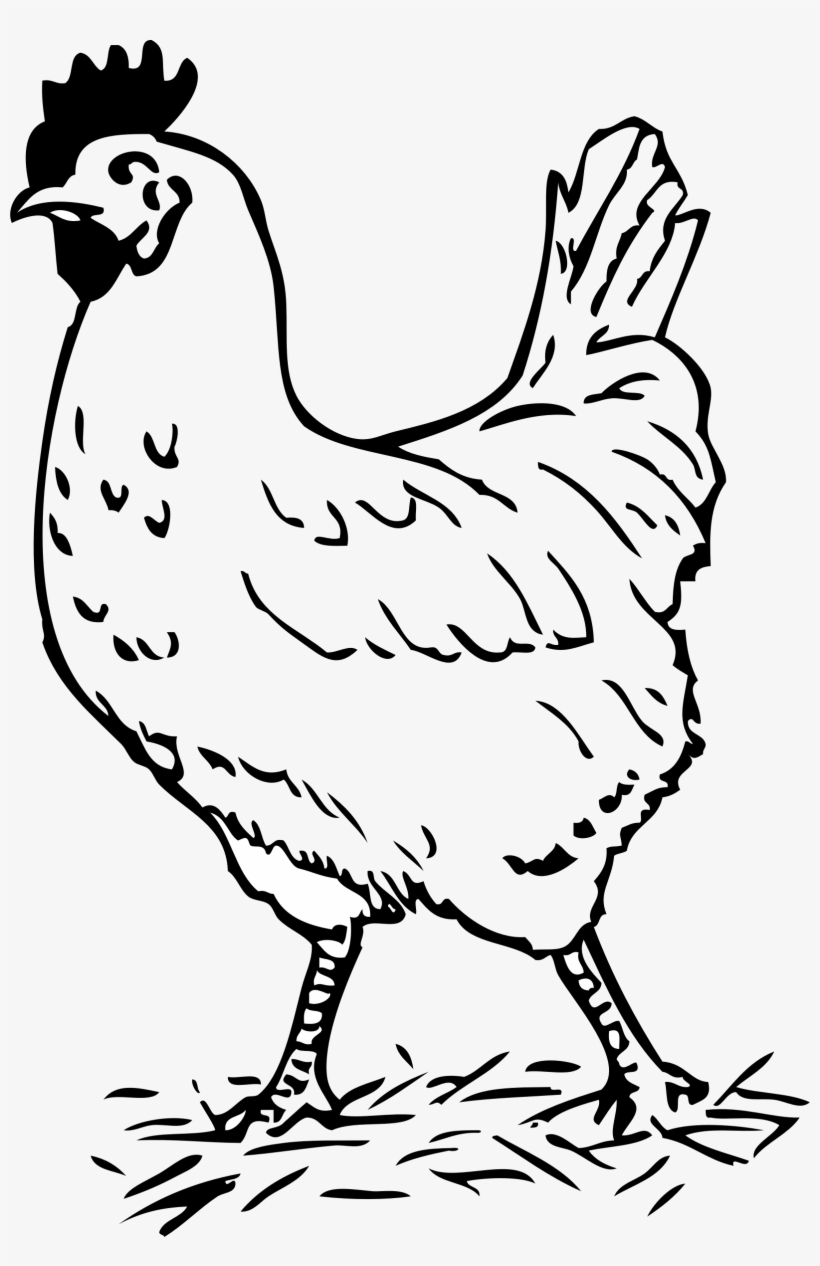 Png Black And White Rooster - Black And White Chicken Clip Art, transparent png download