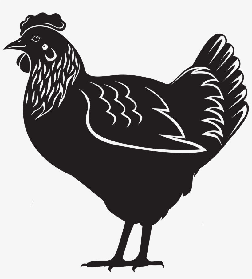 Master Hen - Laying Chicken Clip Art, transparent png download