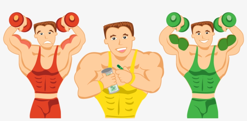 How Does Protein Help You Build Muscle - Muscle, transparent png download
