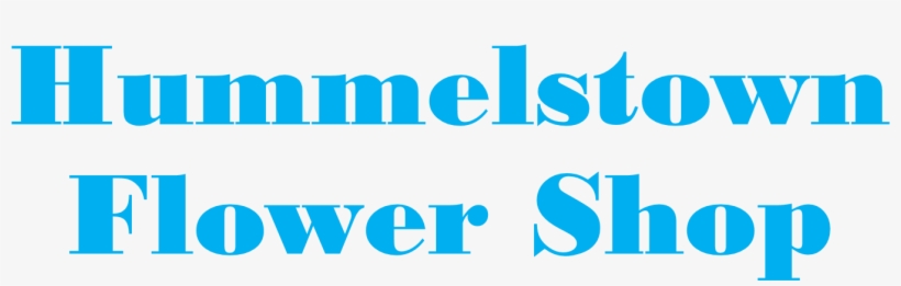 Hummelstown Flower Shop - Clothing, transparent png download