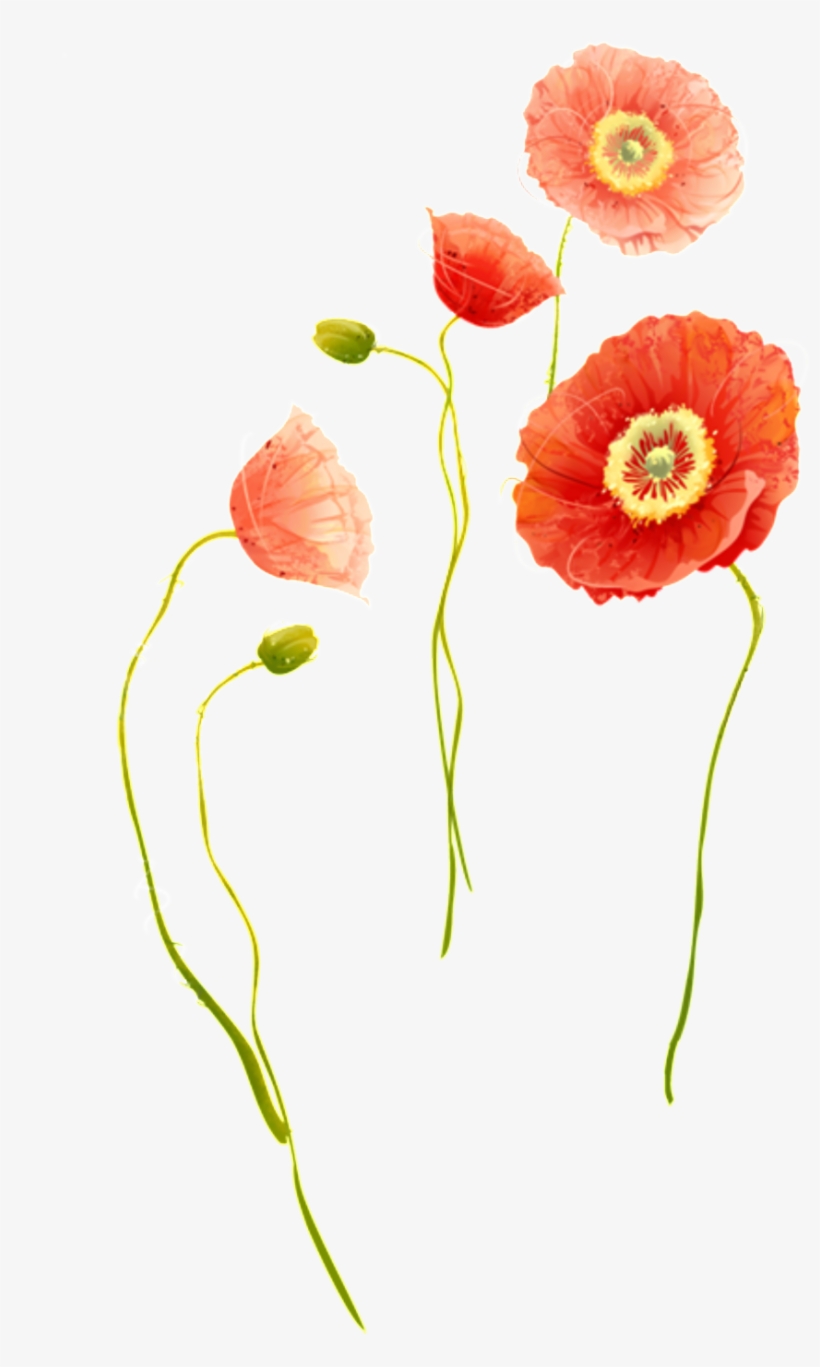 Exquisite Chrysanthemum Decorative Elements - Watercolor Painting, transparent png download