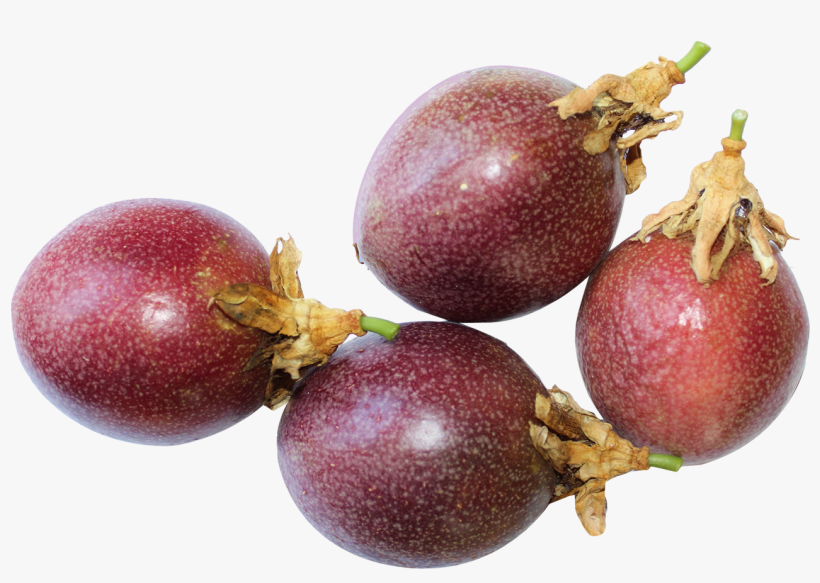 Free Png Passion Fruits Png Images Transparent - Passion Fruit Png, transparent png download