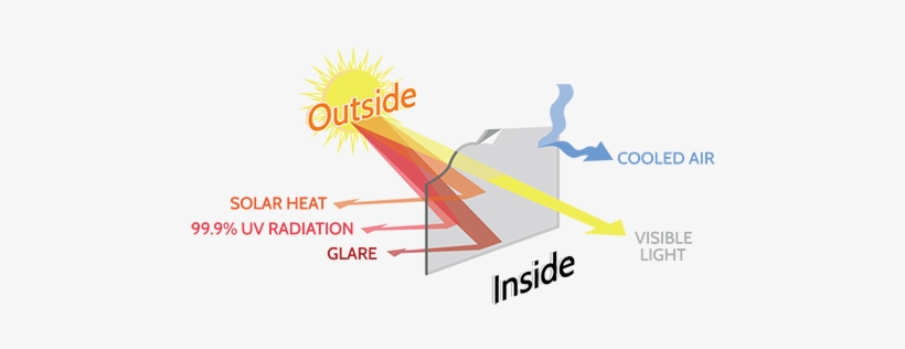 Sunlight Has A Profound Effect On The Skin Causing - Heat Reduction Film, transparent png download