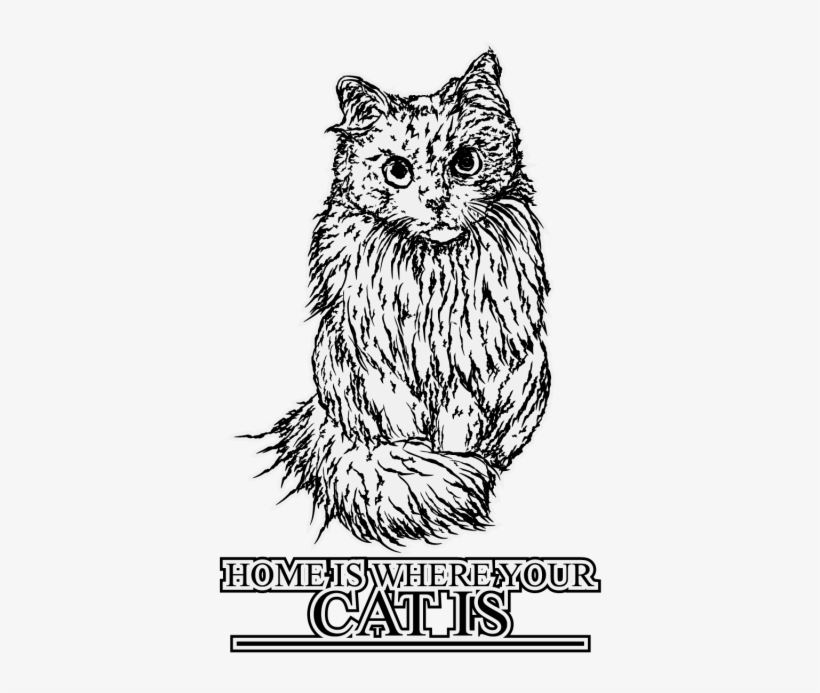 Hand Draw Cat Illustration, Cat, Vector, Quote Png - Illustration, transparent png download