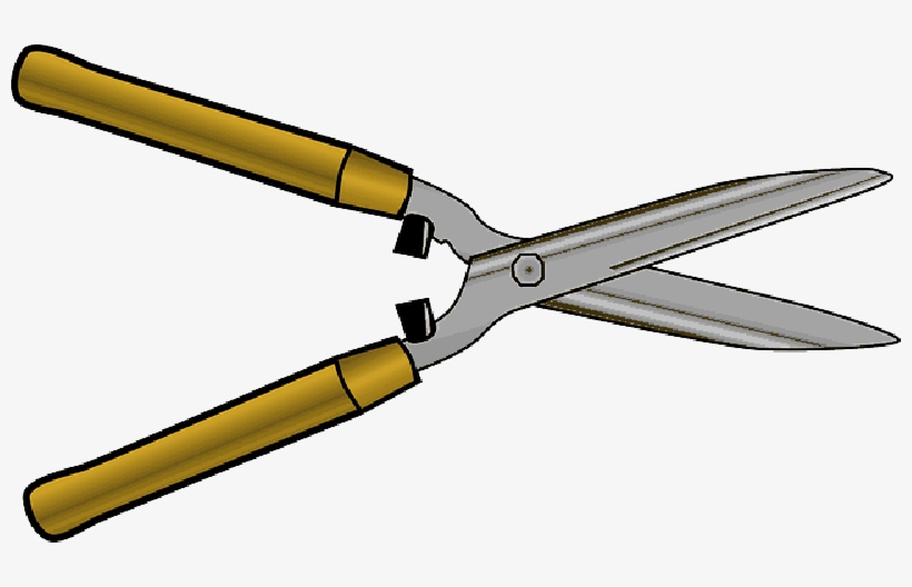 Mb Image/png - Garden Tools Clip Art, transparent png download