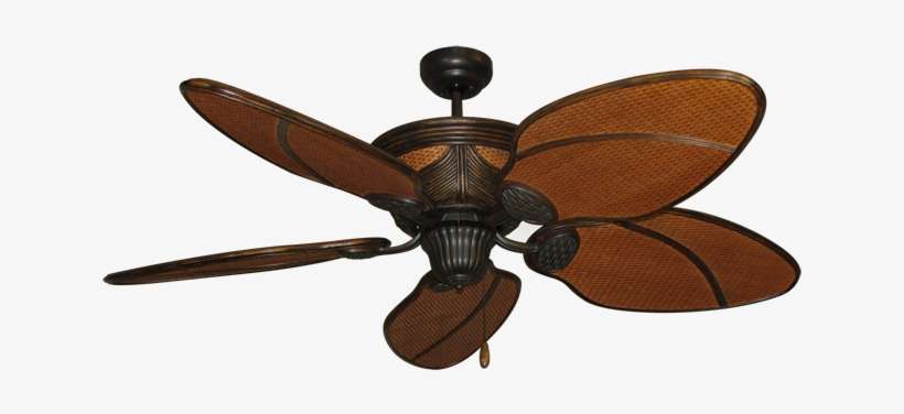 Moroccan In Oil Rubbed Bronze Dan - Tropical Ceiling Fans With Lights, transparent png download