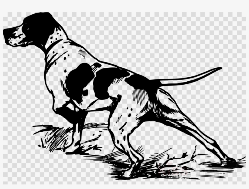 Hunting Dog Clip Art Clipart German Shorthaired Pointer - Bird Dog Clip Art, transparent png download