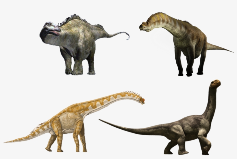Share Using Facebook - Brachiosaurus Compared To Giraffe, transparent png download