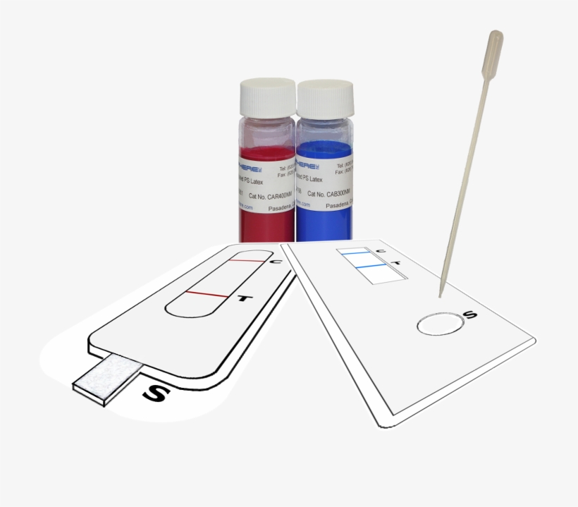 Red And Blue Carboxlated Ps Latex Used For Rapid Test - Gadget, transparent png download