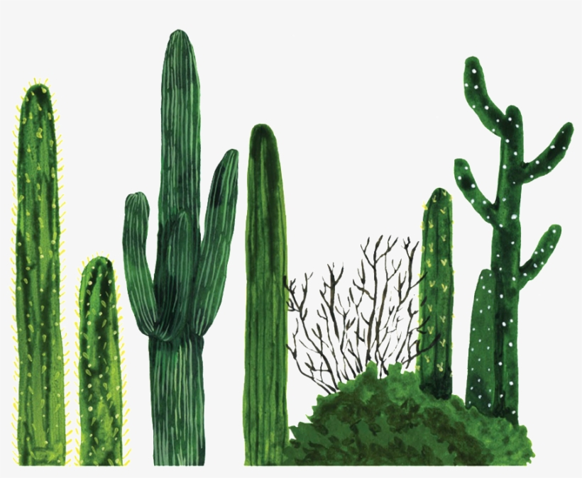 Nopal - Cactus Png, transparent png download