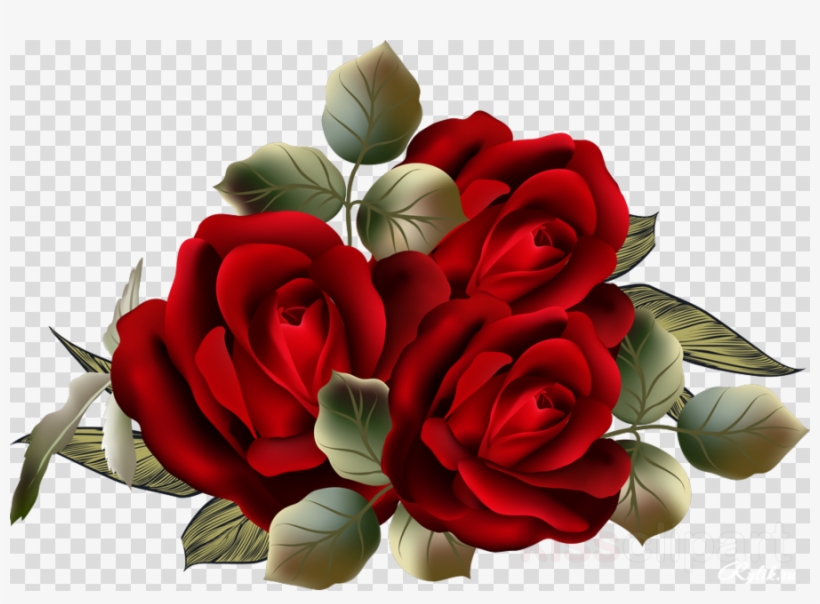 Download Beautiful Roses Png | Transparent PNG Download | SeekPNG