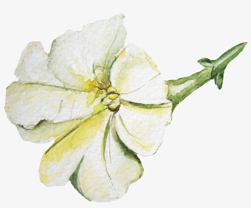 Yellow Heart Flower Transparent Decorative - White, transparent png download