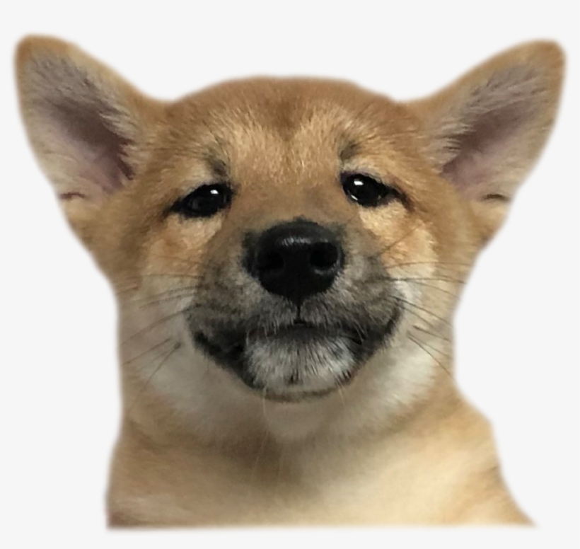 //vuongquocchoshiba - - .com, transparent png download
