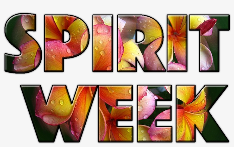 Download The Plumeria File Below - Collage, transparent png download