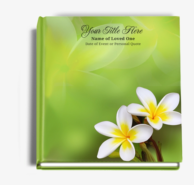 Frangipani Clipart Book - Flowers With Black Background, transparent png download