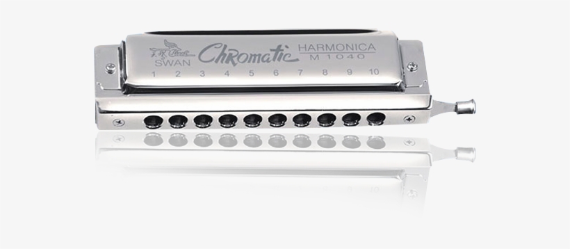 10 Hale 40tone Chromatic Silver Teaser-printing Harmonica - Harmonica, transparent png download