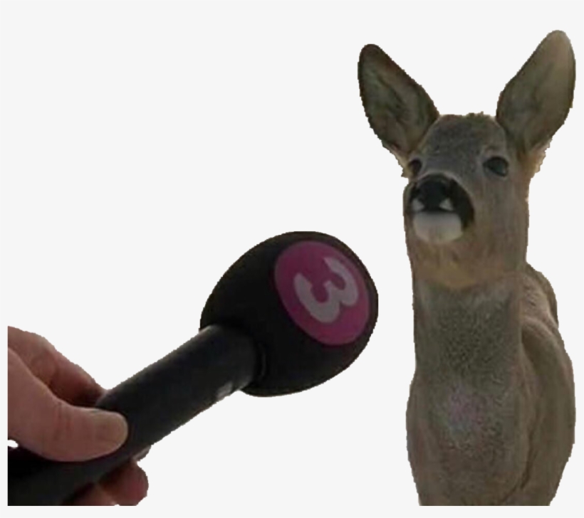Png Library Download Psbattle This That Has A Story - Do You Know You Re A Deer, transparent png download