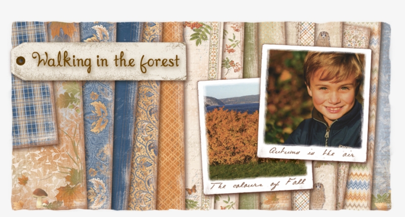 Walking In The Forest3 - Forest3 Cafe, transparent png download