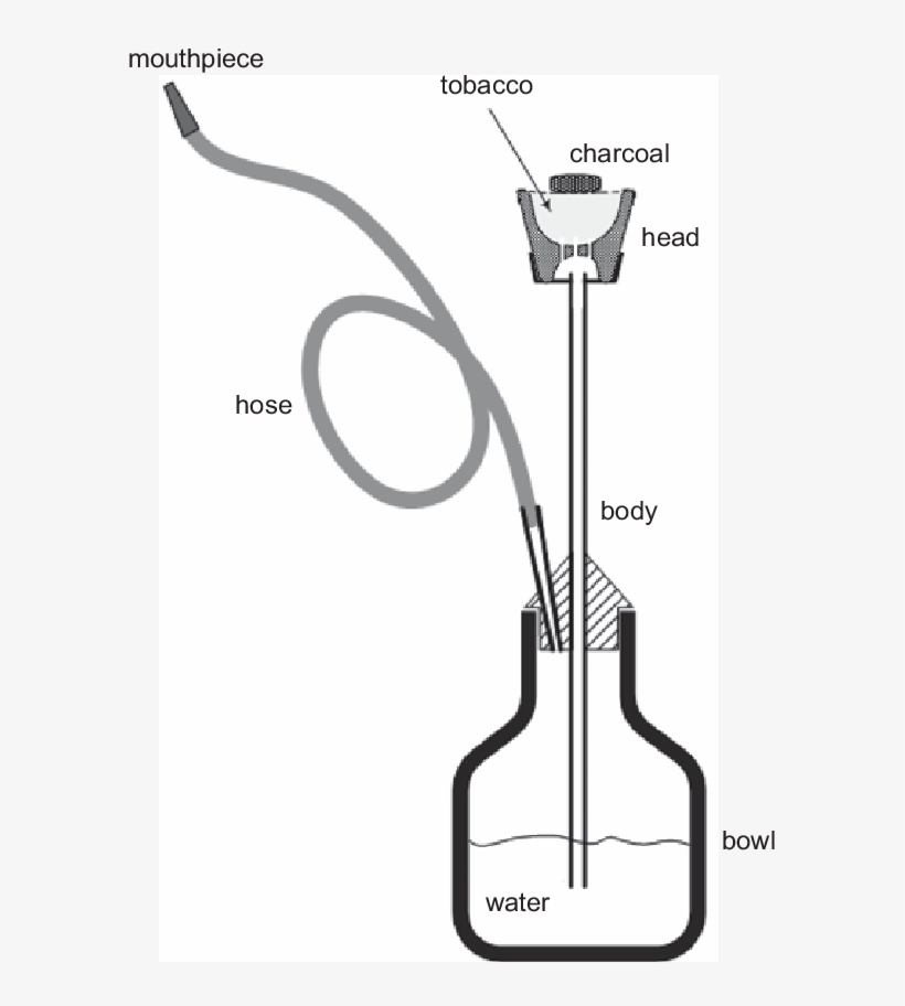 Schematic Of A Narghile Water Pipe - Hookah, transparent png download