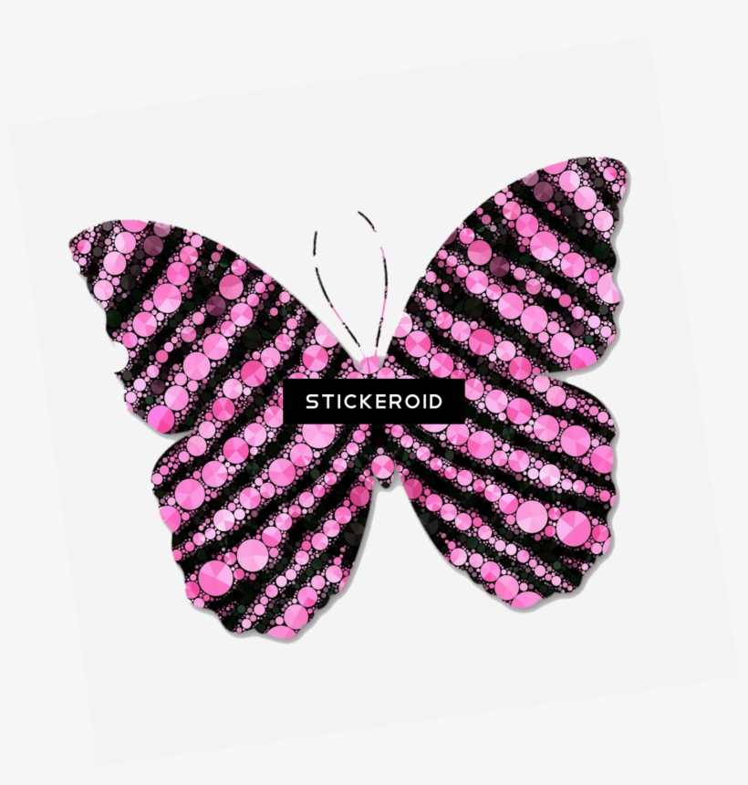 Pink And Black Circles Butterfly - Zazzle Papillon & Orchidée Roses Tongs, transparent png download
