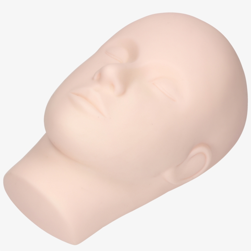 Makeup Training Mannequin Head - Bust, transparent png download