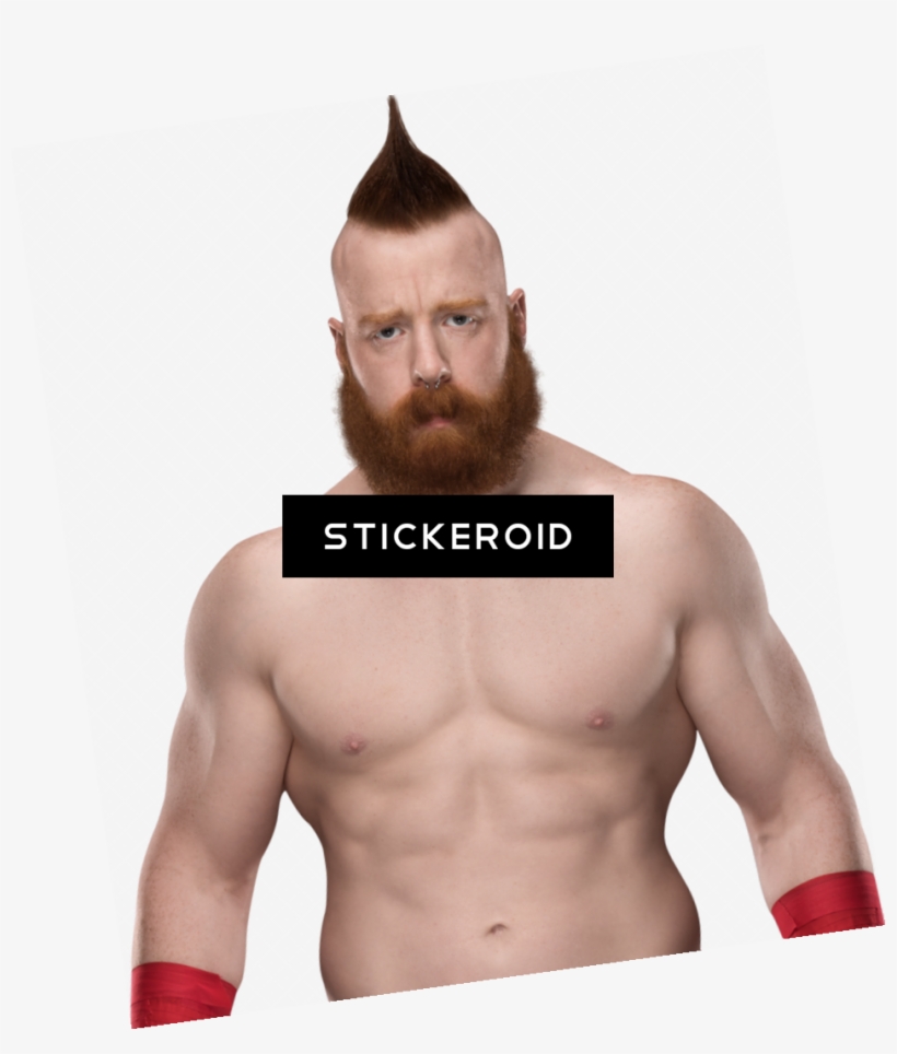 Sheamus Wwe - Barechested, transparent png download