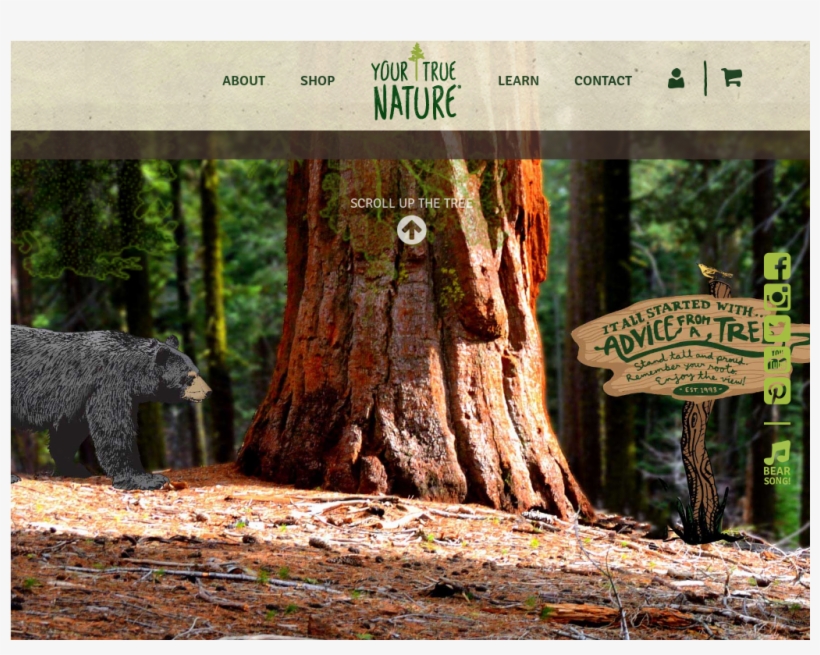 Website History - Redwood, transparent png download