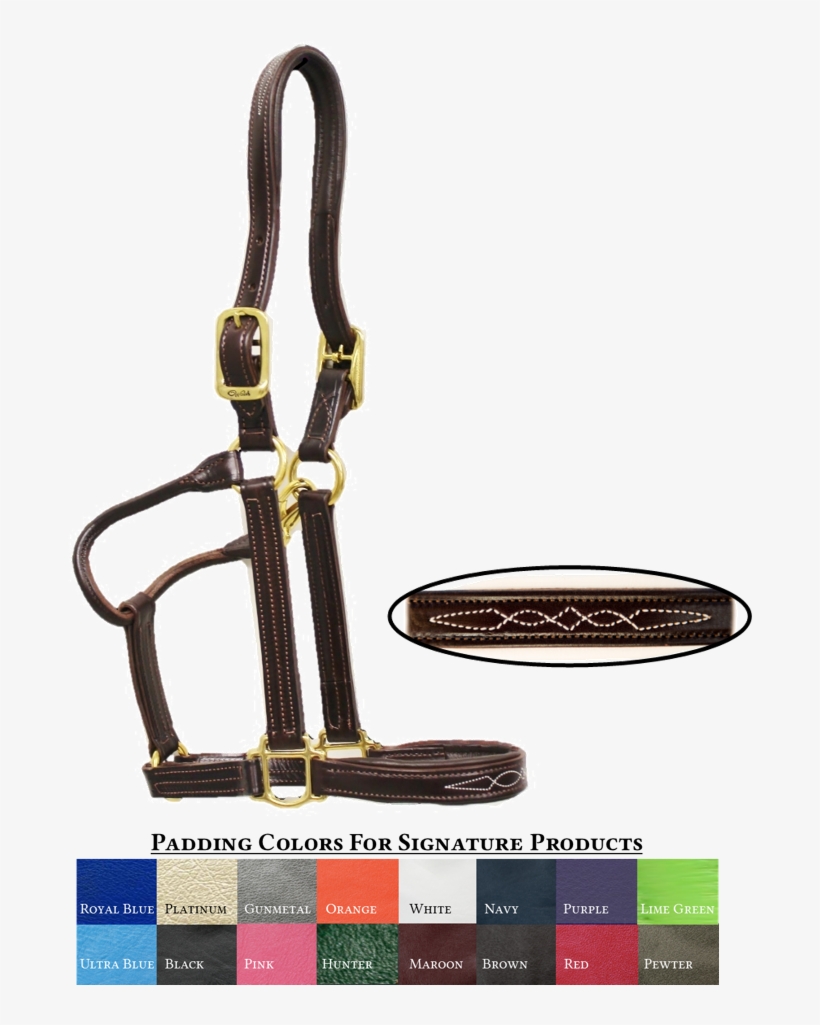 Signature Padded Halter With Fancy Stitching - Padded Leather Halter For Sale, transparent png download
