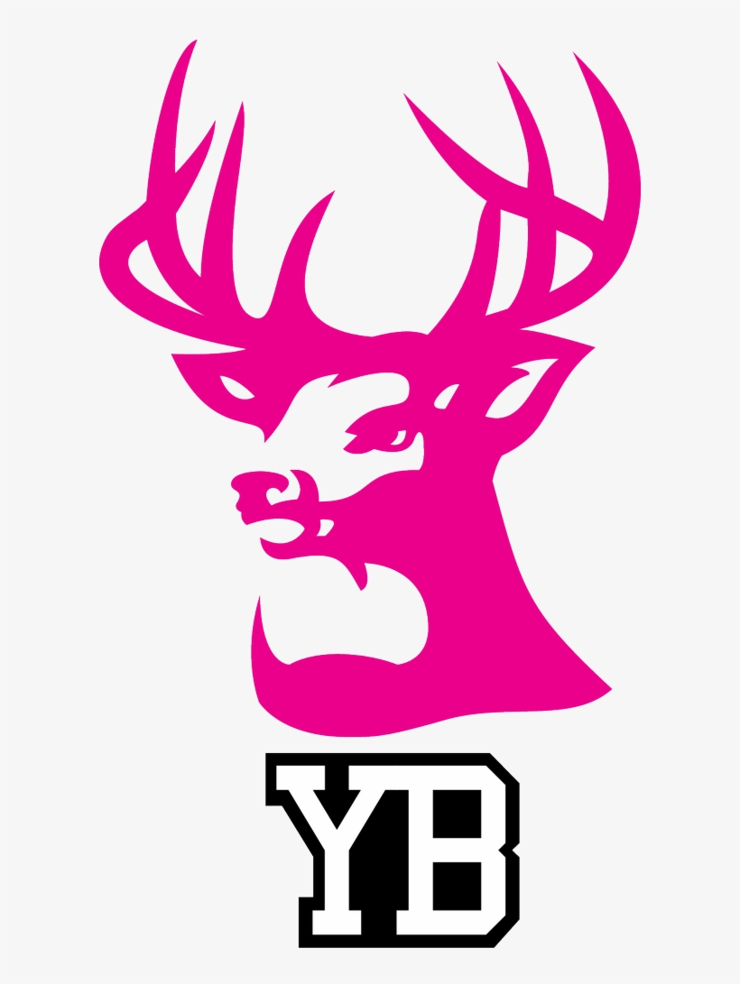 Young Bucks On Twitter - Buck Wear, transparent png download