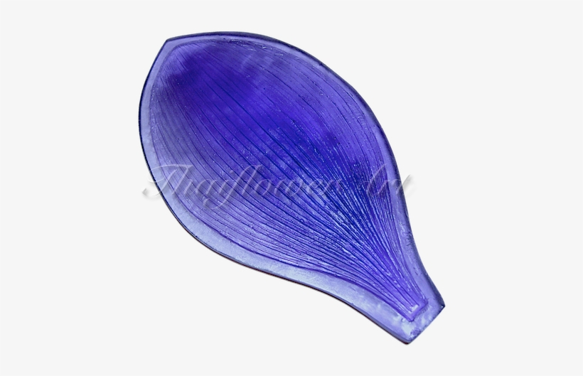 Shell, transparent png download