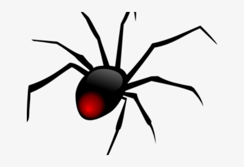 Original - Black Widow Spider, transparent png download