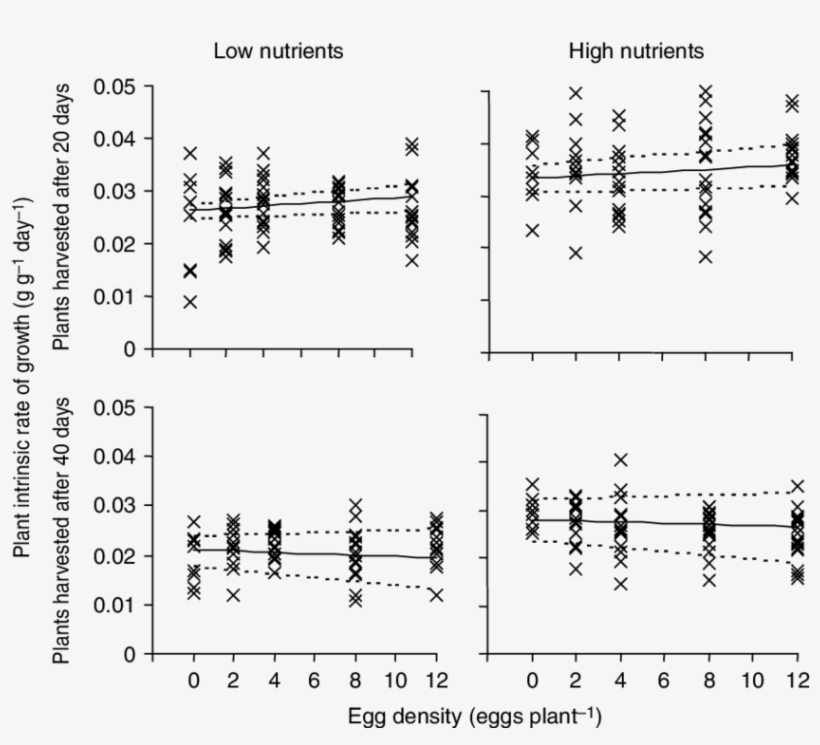 Effect Of Neochetina Eichhorniae Egg Density And Water - Espa Hauswasserwerk Dlt1300as Mit Pressontroll, transparent png download