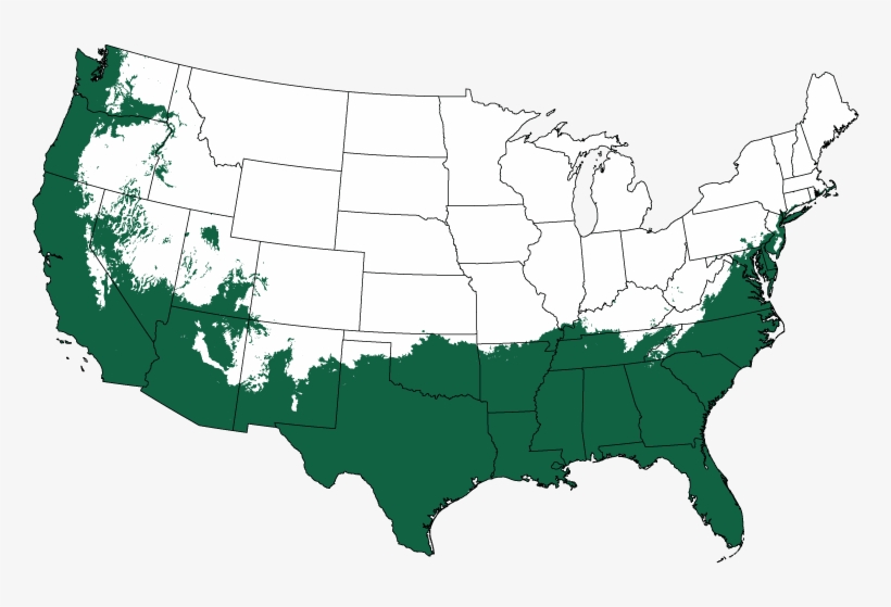 Plant Hardiness Zones 7-10 - Brown Vs Board Of Education Chart, transparent png download