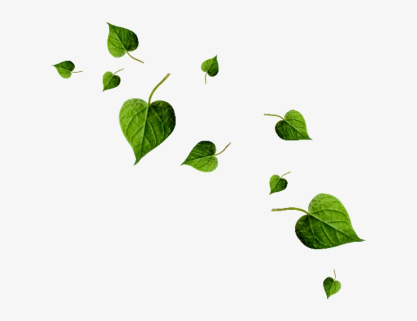 Braun Strowman 2017 Png - Portable Network Graphics, transparent png download