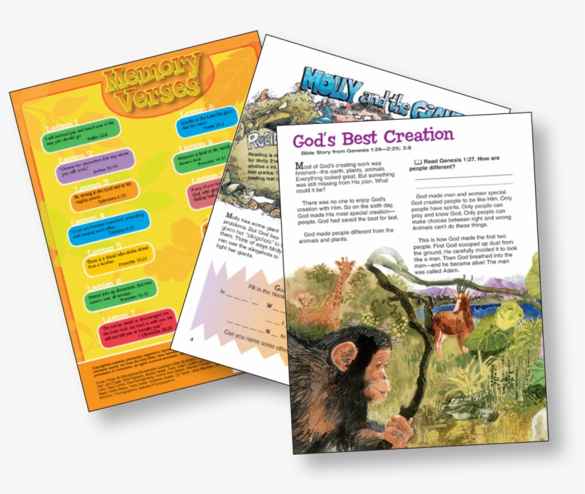 Sunday School Lessons For Kids Elementary Bible In - School, transparent png download