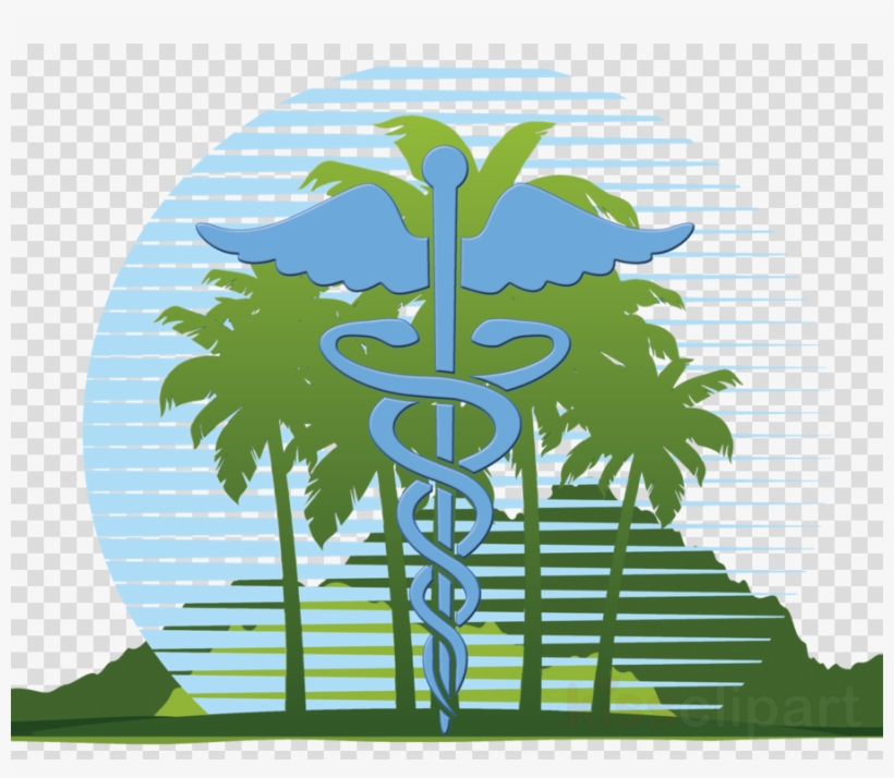 Logo Timely Medical Clinic Clipart Clinic Health Care - Orange Palm Tree Shower Curtain, transparent png download