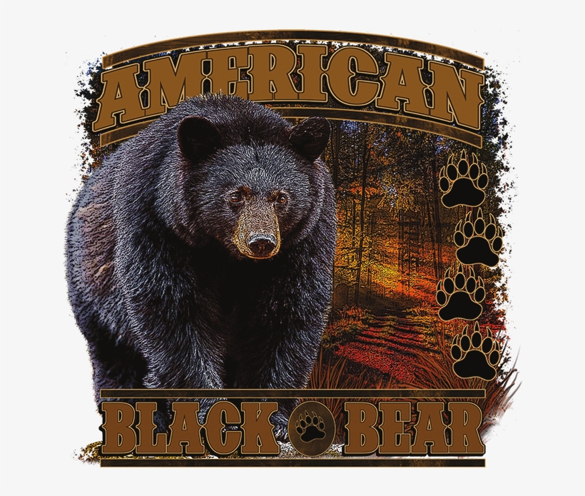American Black Bear, transparent png download