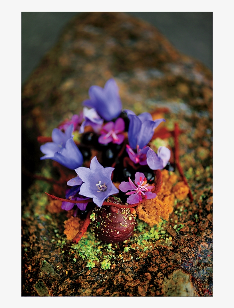 Greenland0715-garnish - Garnish, transparent png download