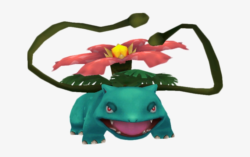 Toad, transparent png download