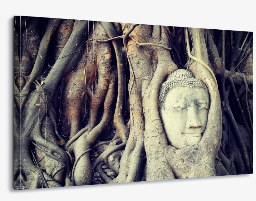 Bouddha Tree Root Toile Art & Mur De Verre Art Toile - Ayutthaya Kingdom, transparent png download
