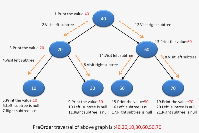 Tree Root Diagram Career Tree Diagram Elsavadorla Biliary - Reverse Pre Order Traversal, transparent png download