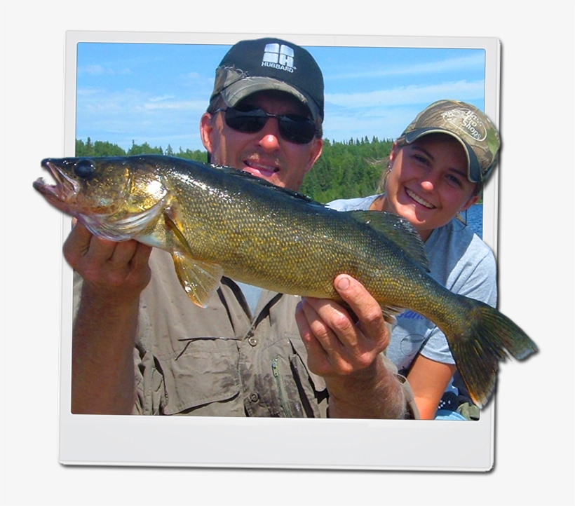 Northwestern Ontario Is The Top Destination In The - Walleye Fishing, transparent png download